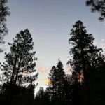 South Fork Family Campground