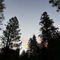 South Fork Family Campground ico