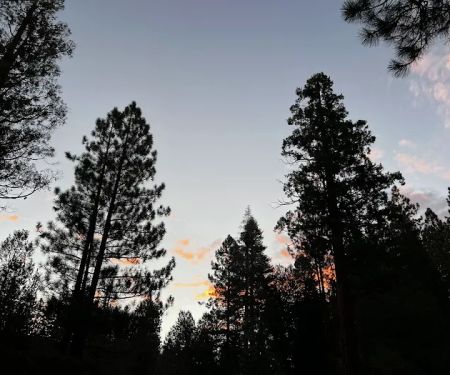South Fork Family Campground