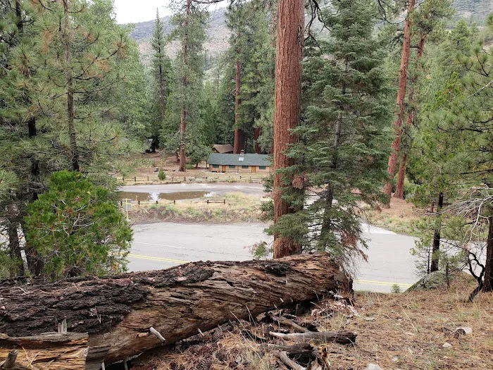South Fork Family Campground Picture 10