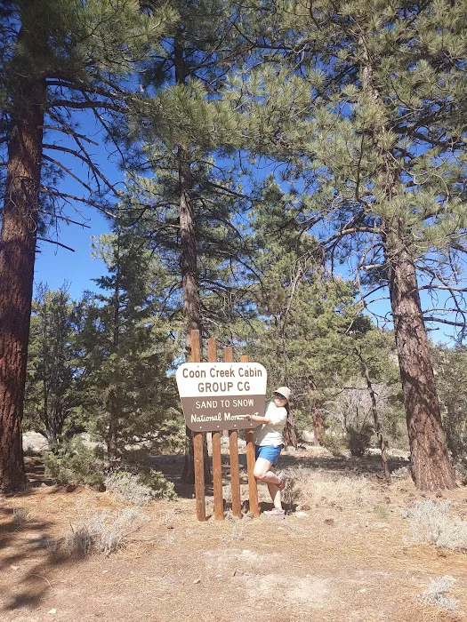 Coon Creek Cabin Group Campground Picture 5