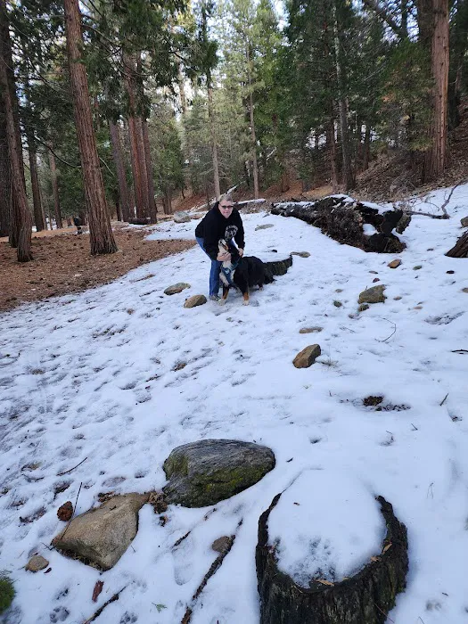 Coon Creek Cabin Group Campground Picture 3