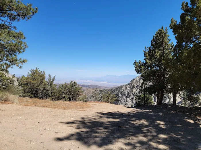 Coon Creek Cabin Group Campground Picture 4