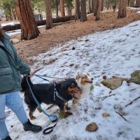 Coon Creek Cabin Group Campground ico