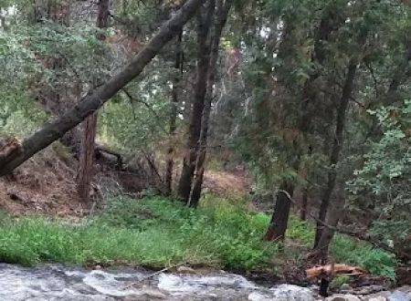 South Fork Trail Head Upper SART