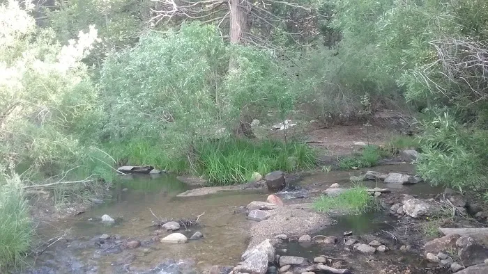 Santa Ana River - South Fork Picture 5