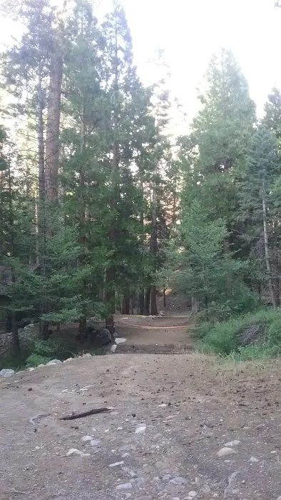 Santa Ana River - South Fork Picture 4