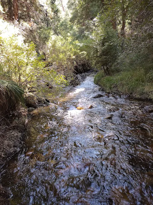 Santa Ana River - South Fork Picture 7