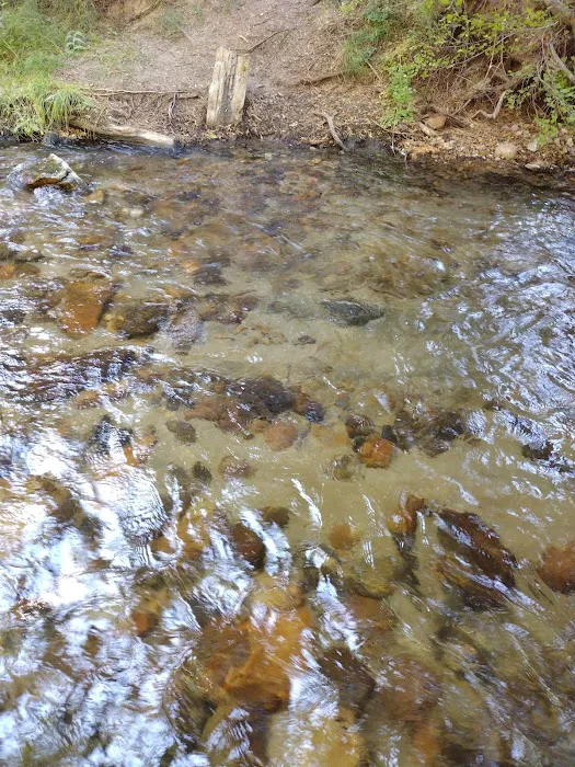 Santa Ana River - South Fork Picture 8