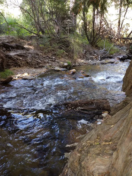 Santa Ana River - South Fork Picture 6