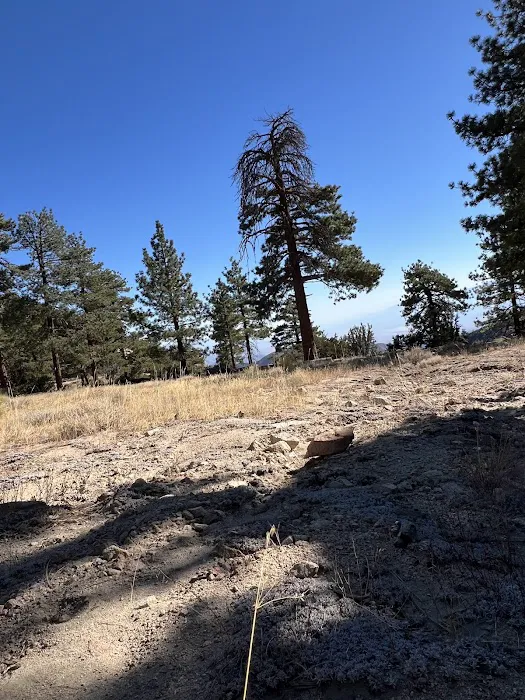 Cook Creek Campground Picture 1