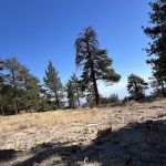 Cook Creek Campground