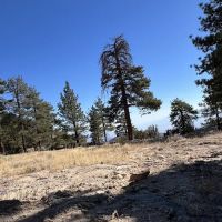 Cook Creek Campground ico