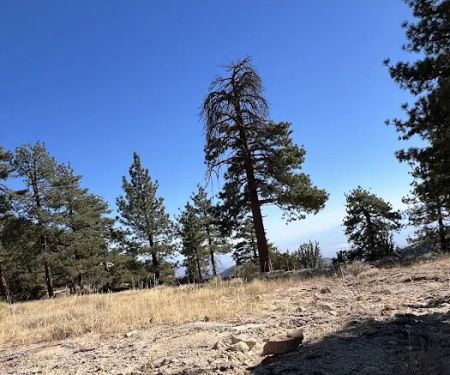 Cook Creek Campground
