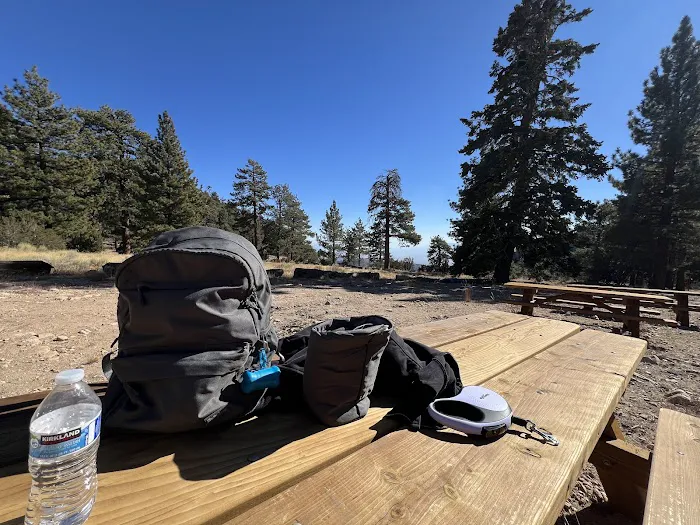 Cook Creek Campground Picture 2