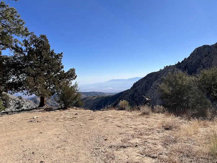 Cook Creek Campground Picture 3