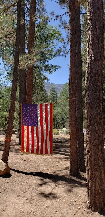 Lobo Group Campground Picture 6