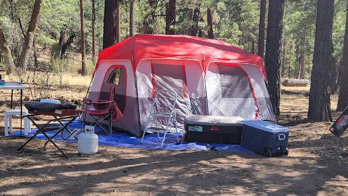 Lobo Group Campground Picture 5
