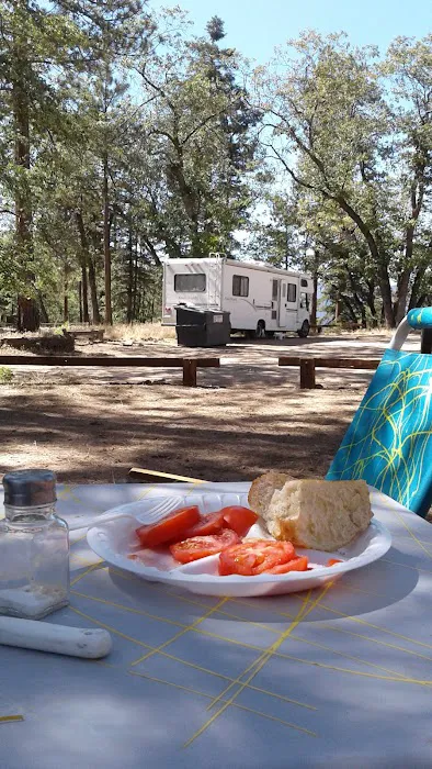 Lobo Group Campground Picture 3