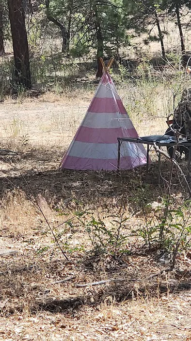 Lobo Group Campground Picture 7