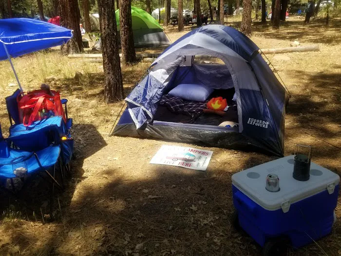 Lobo Group Campground Picture 8