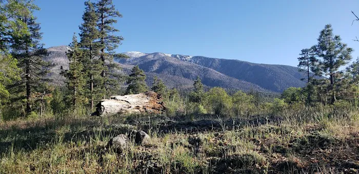 Lobo Group Campground Picture 2