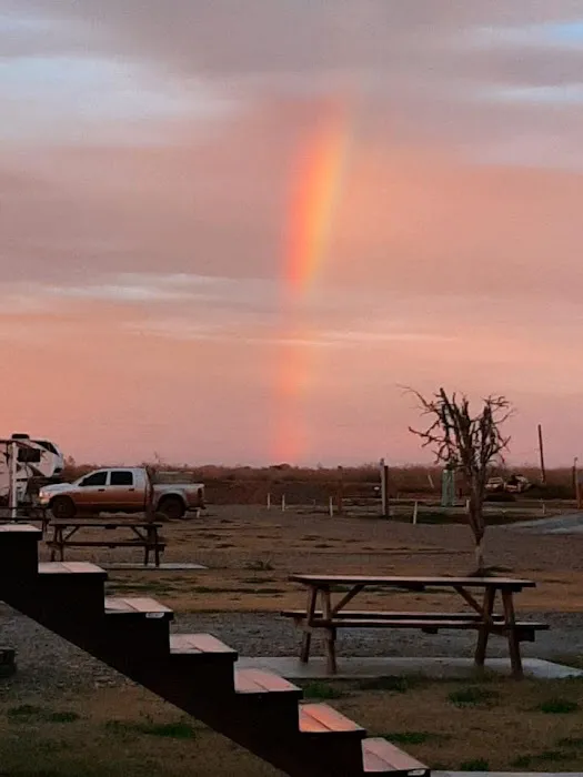 Gator RV Park Picture 6
