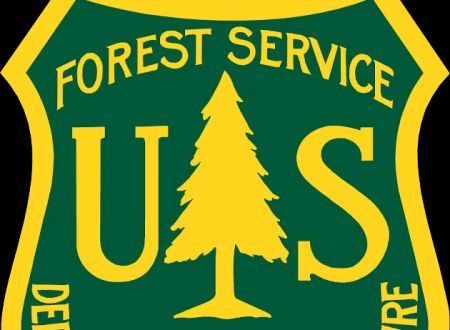 Green Spot Equestrian Group Campground