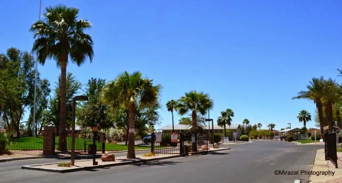 Buena Vista Picture 6