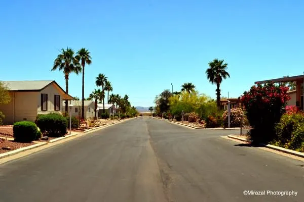 Buena Vista Picture 9