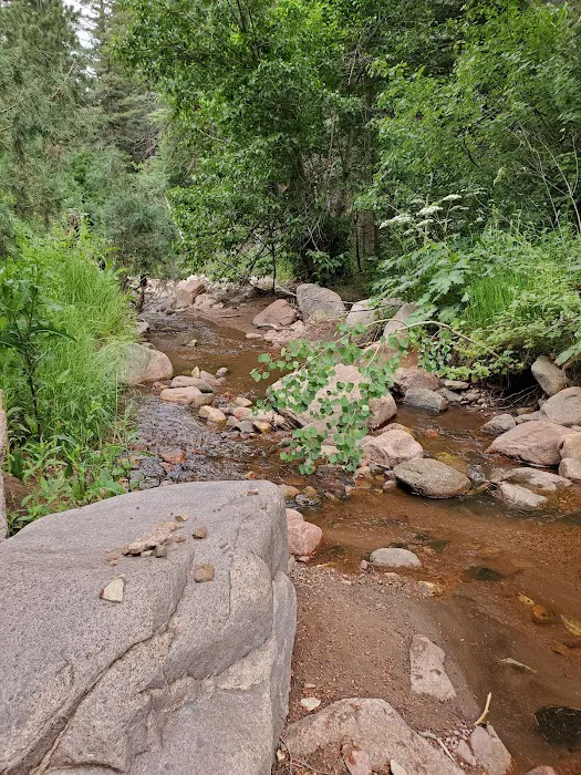North Creek Campground Picture 9
