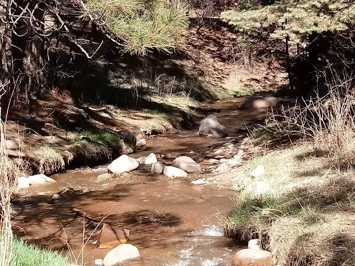 North Creek Campground Picture 4