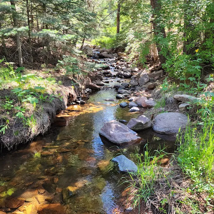 North Creek Campground Picture 8