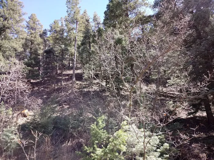 North Creek Campground Picture 5
