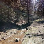 North Creek Campground