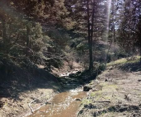 North Creek Campground