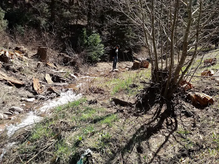 North Creek Campground Picture 3