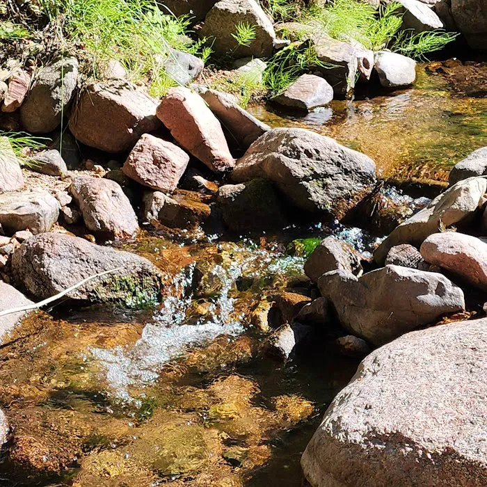 North Creek Campground Picture 6