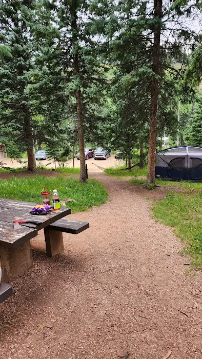 Ophir Creek Campground Picture 5