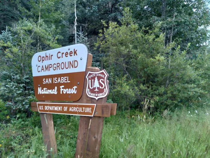 Ophir Creek Campground Picture 7