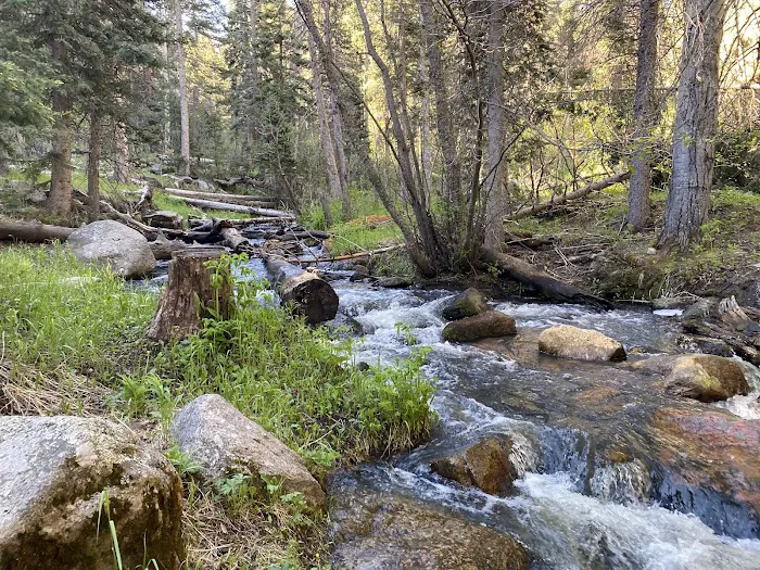 Ophir Creek Campground Picture 9