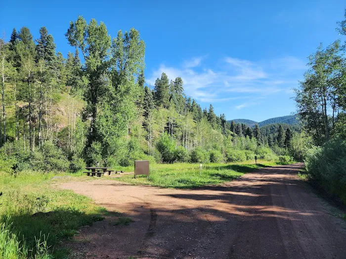 Ophir Creek Campground Picture 3