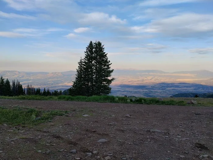 Ophir Creek Campground Picture 4