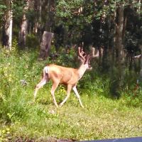 Aspen Acres Campground ico