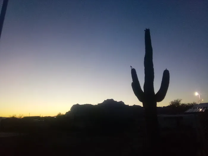 Palo Verde Hills Mobile Park Picture 1