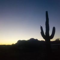 Palo Verde Hills Mobile Park ico