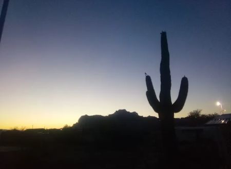Palo Verde Hills Mobile Park