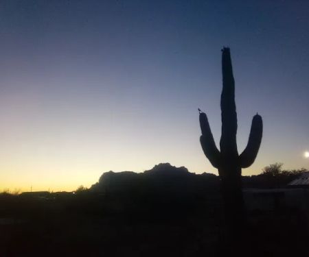 Palo Verde Hills Mobile Park