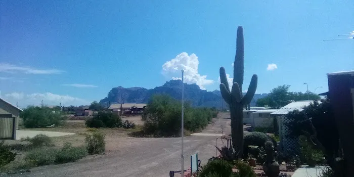 Palo Verde Hills Mobile Park Picture 2