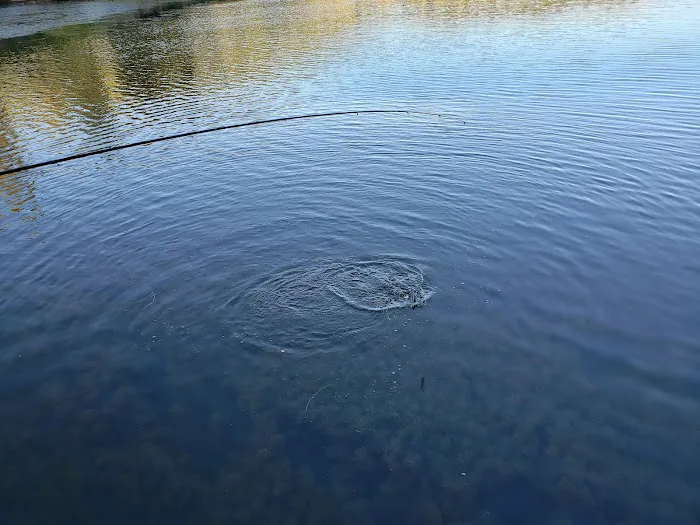 Lake Isabel North Shore Parking Area (recgovnpsdata) Picture 4
